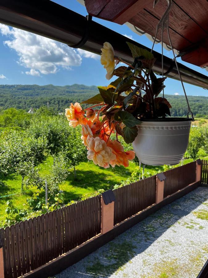 Отель Casa De Vacanta Orsi Совата Экстерьер фото